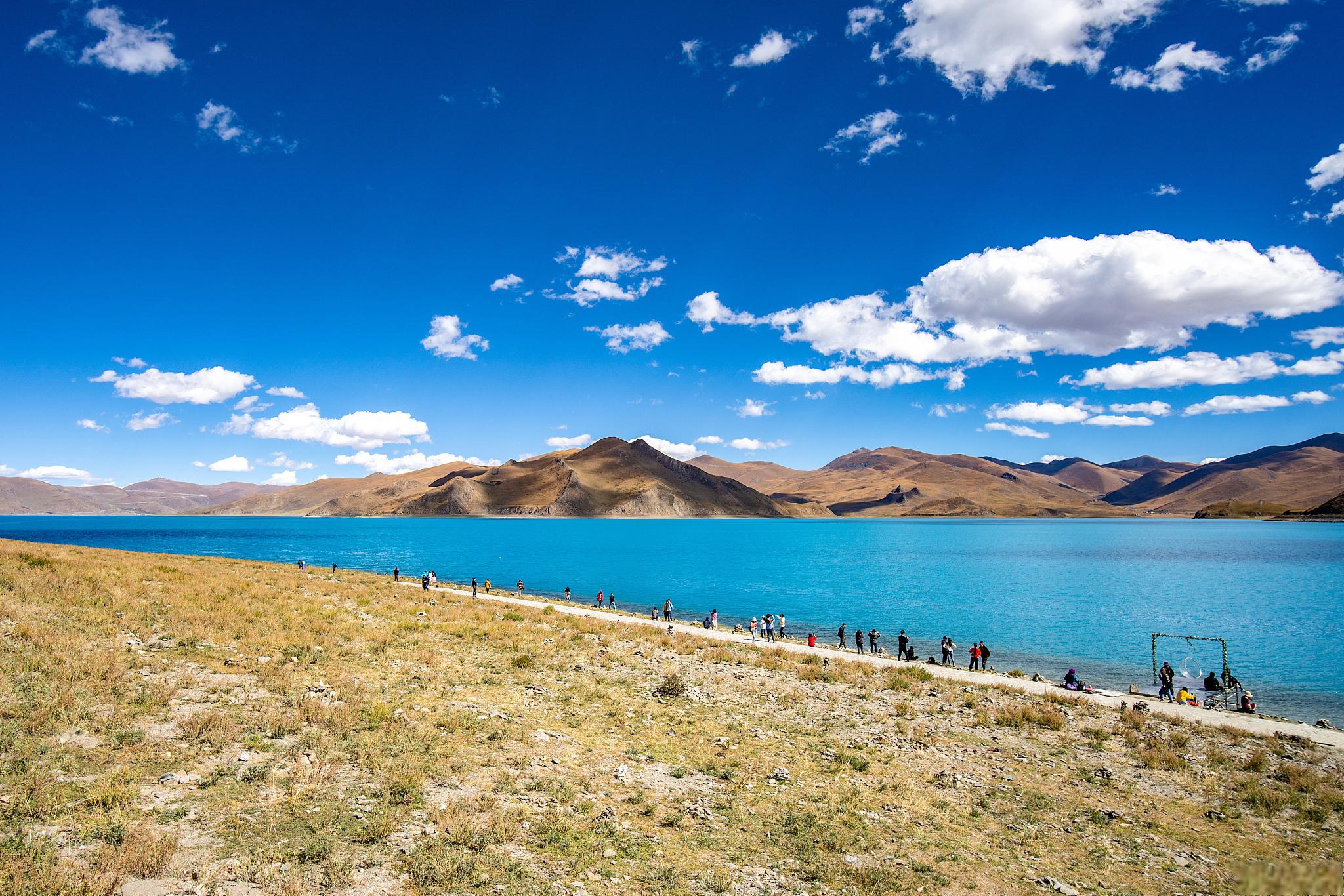 青海旅游包车:助您畅游无阻 想要一睹青海的壮丽风光吗?