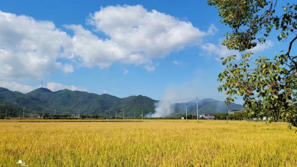 象山钱仓村图片