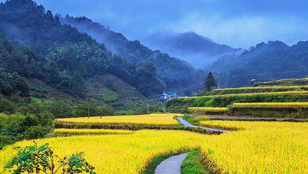 探访安徽池州市石台县仙寓山镇的富硒村:人间仙境 富硒村,这片人间