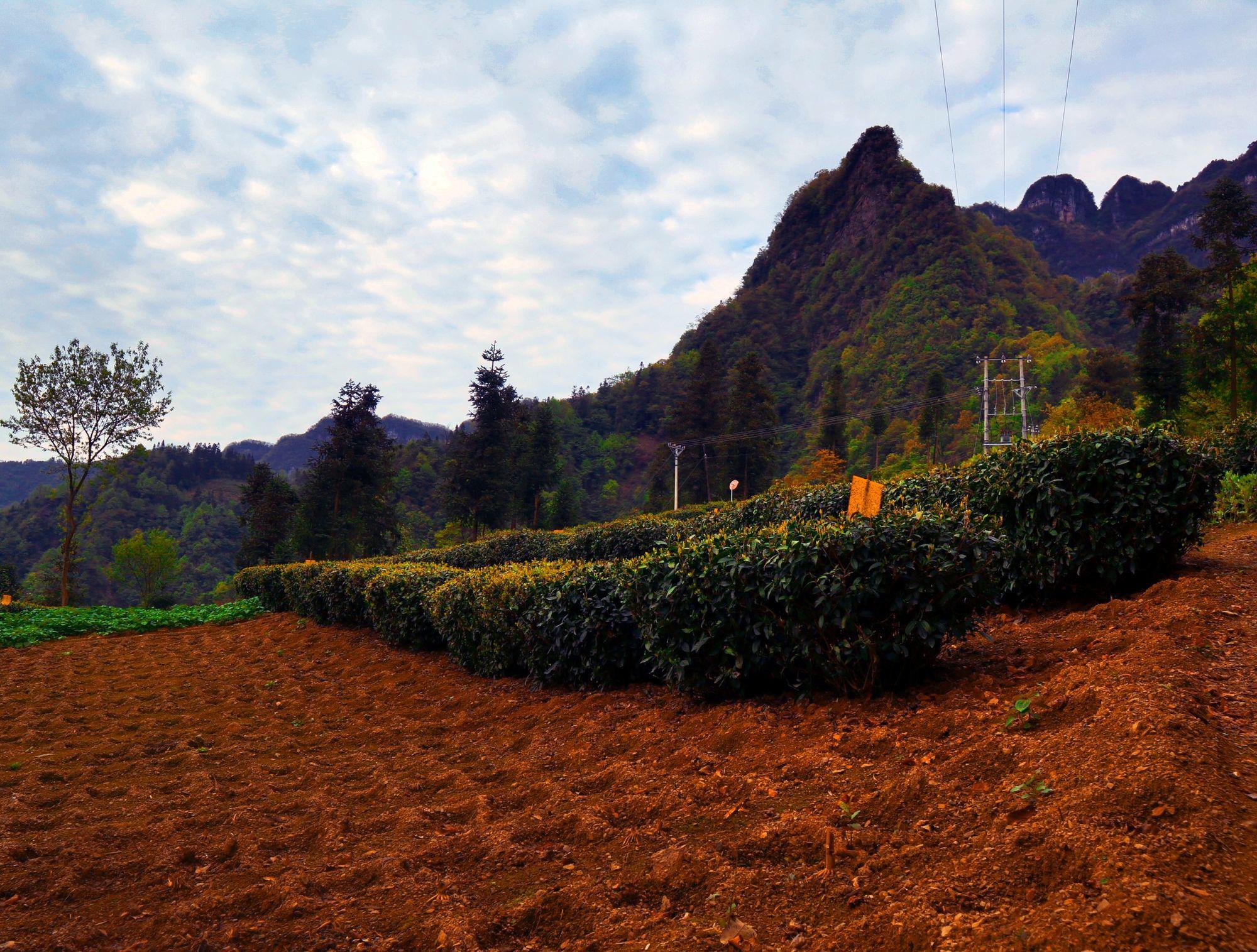 探寻古坪秘境 湖北省宜昌市长阳土家族自治县,隐藏着一片人间仙境