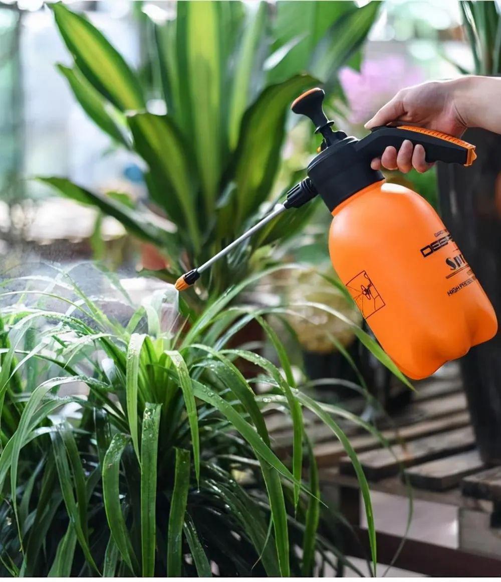 冬季花草养护:5种水千万别乱浇 在寒冷的冬季里,给花草浇水是一项需要