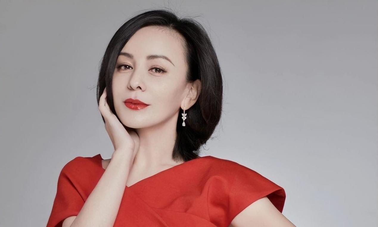 雪姨"王琳:独自抚养儿子的艰辛岁月 王琳,这个在影视圈崭露头角的女