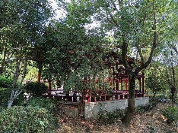 秋意正浓,赴一场与大自然的约会——京山文峰公园 秋天是一个与大自然