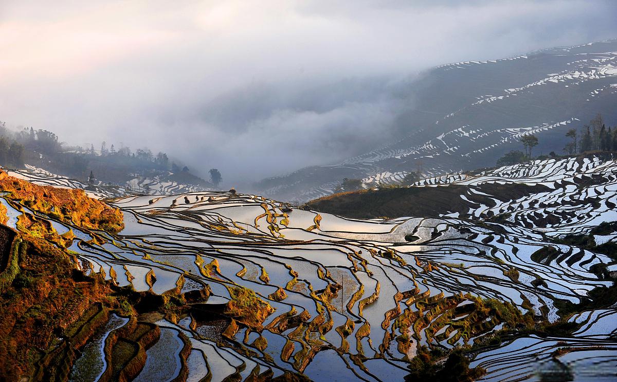 大自然与文化的绝美交响曲 元阳梯田,位于云南红河州的元阳县,是哈尼