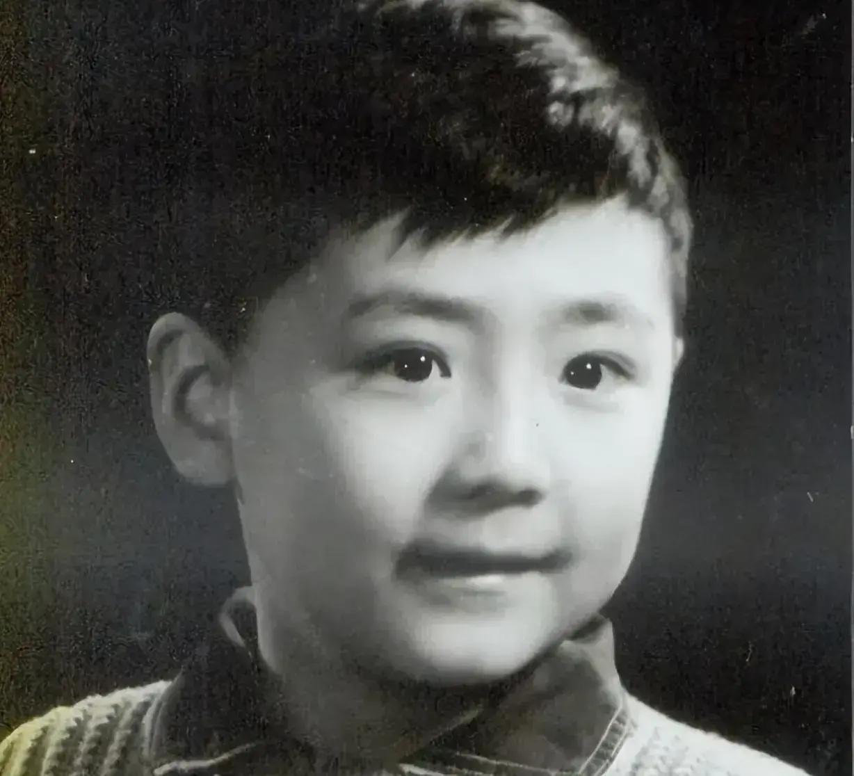 张子健:娱乐圈中的坚韧与幸福 张子健的演艺生涯可谓是一波三折,小