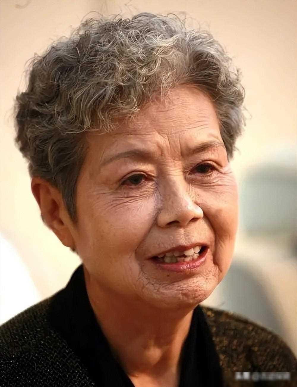 央视第一女主持人沈力:电视历史的辉煌与家庭遗憾的交织 中国电视荧屏