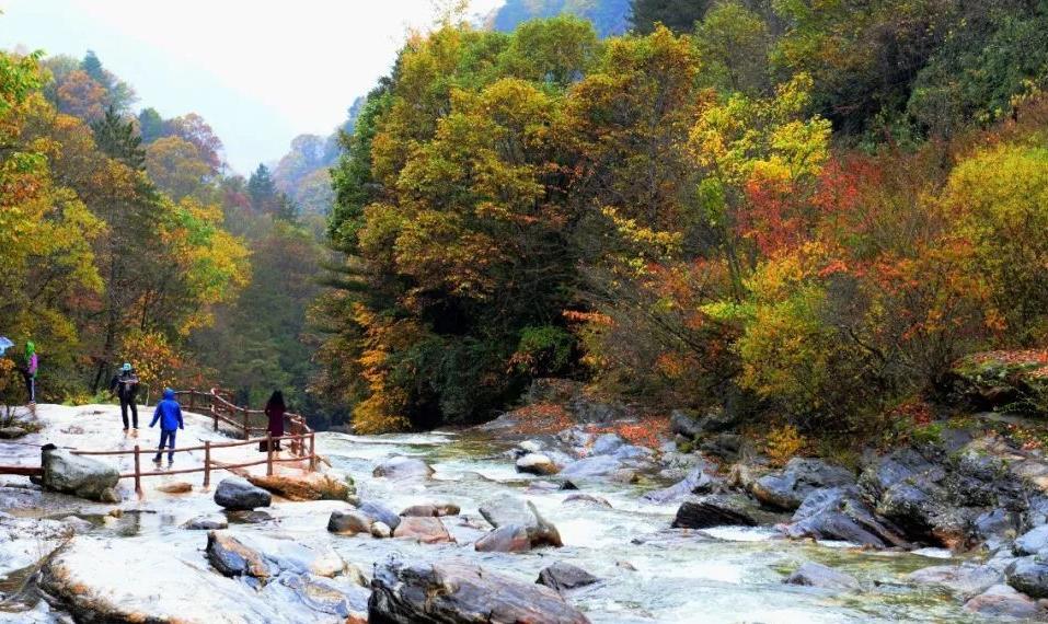 黄柏塬风景区:一座藏在深山中的宝藏 黄柏塬风景区位于宝鸡市太白山西