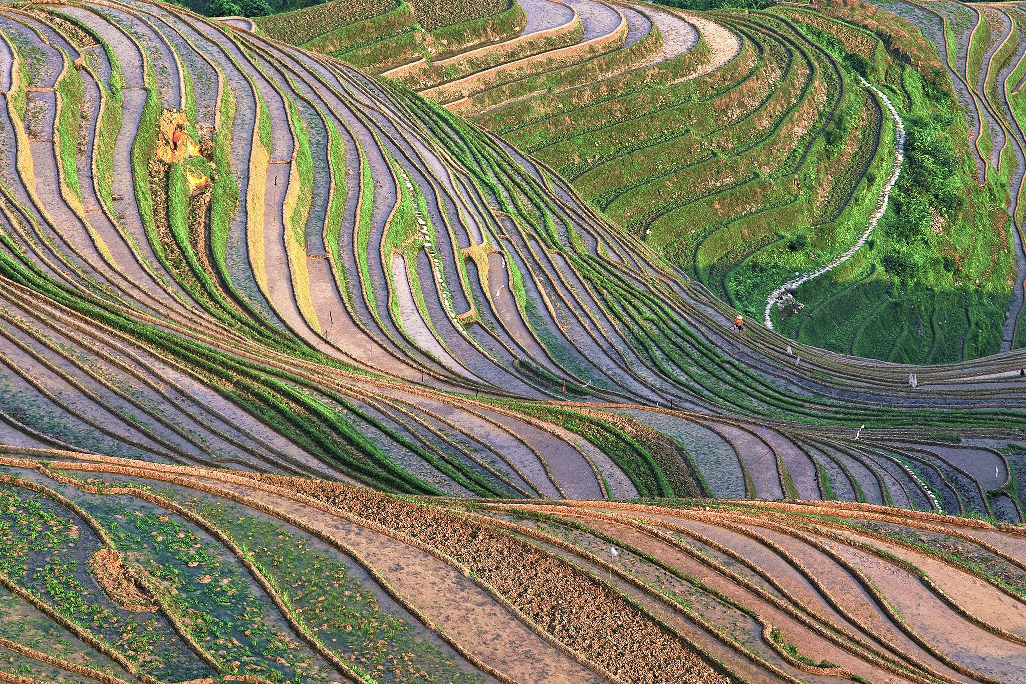 桂林山水:人民币上的"黄布倒影" 桂林山水是中国四大名山之一,以壮丽