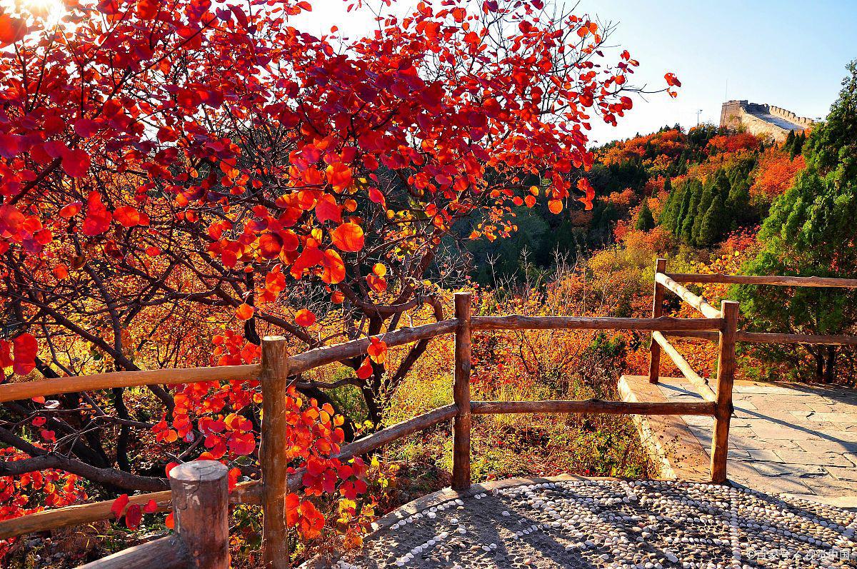 自然风光与文化底蕴的完美结合 红叶柿岩景区位于山东省淄博市博山区