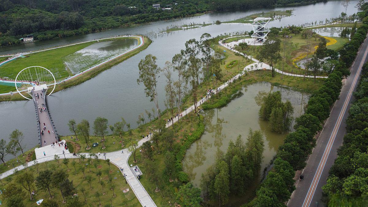 鲁家滩湿地公园图片图片