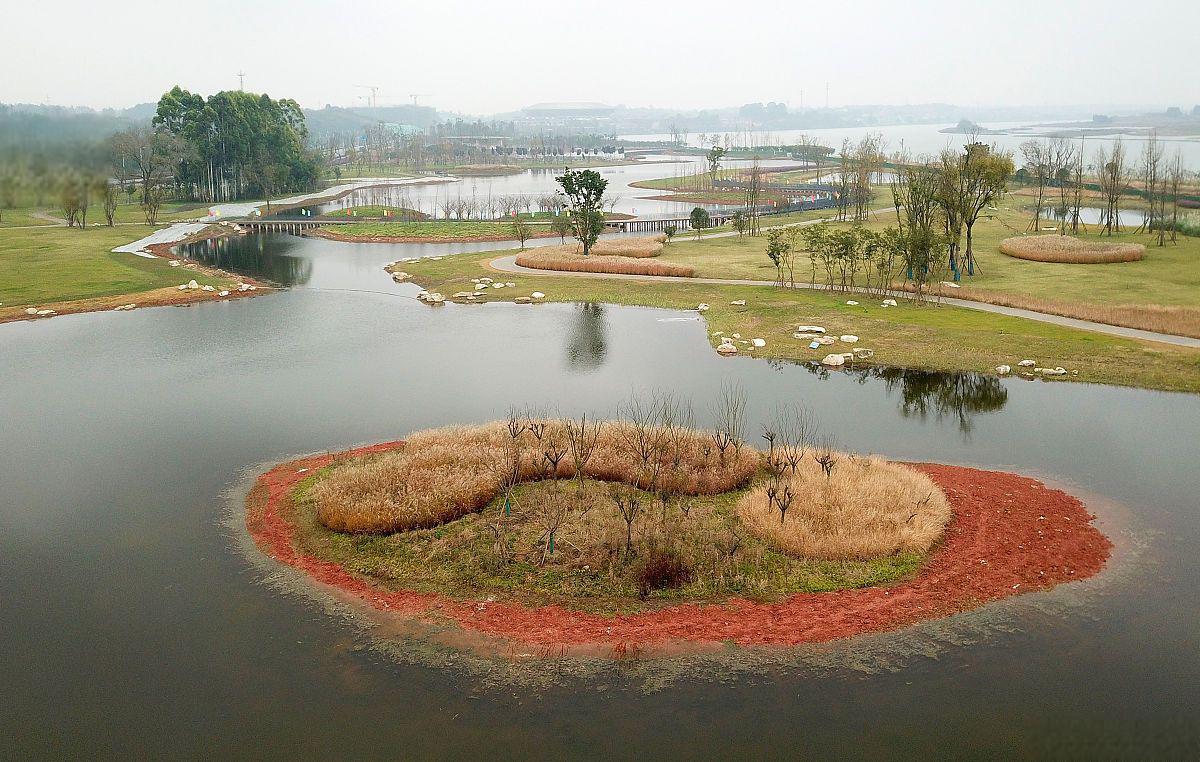 鲁家滩湿地公园图片图片