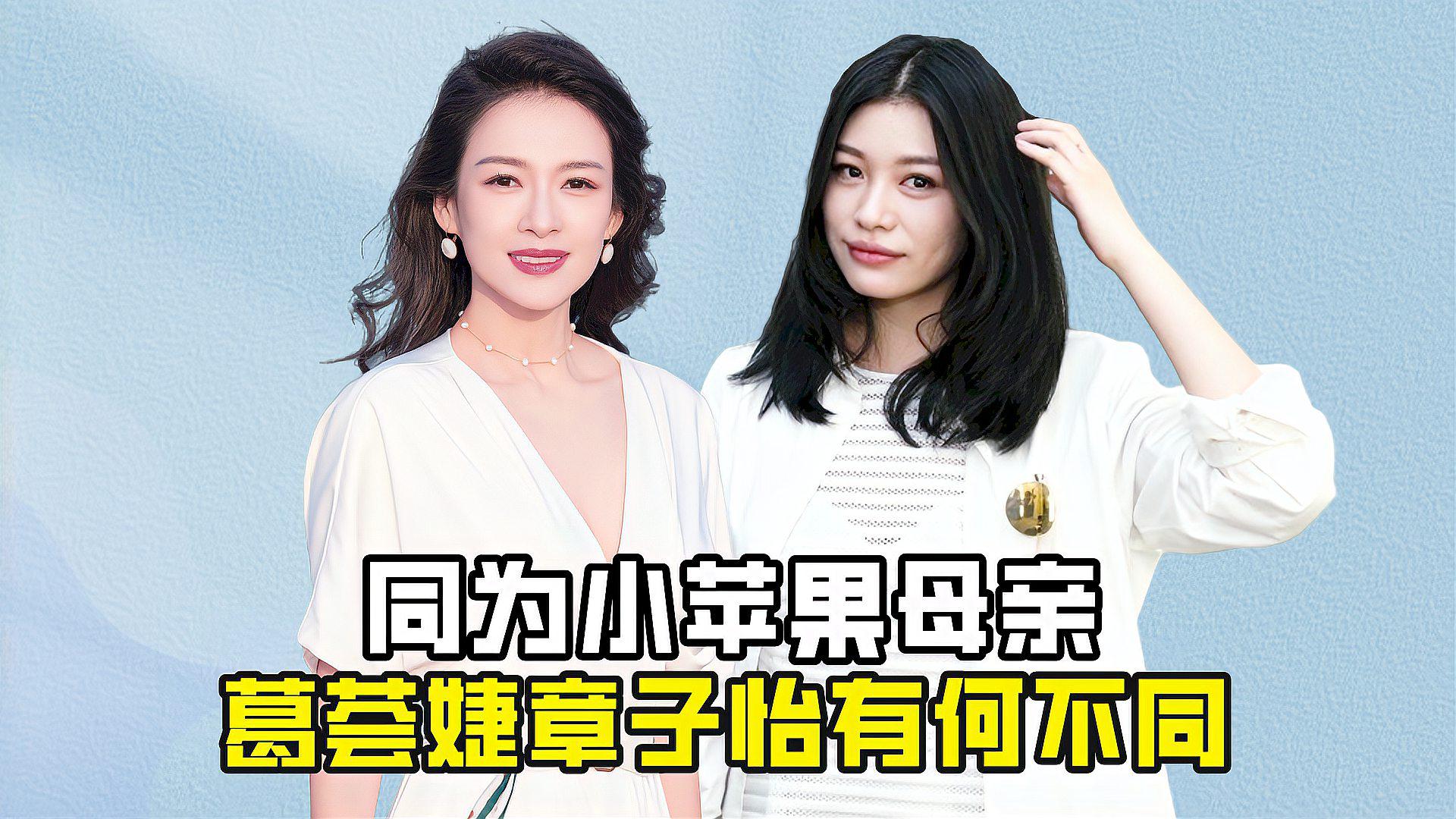 葛荟婕与章子怡:两位小苹果母亲的不同做法 葛荟婕在直播中爆料汪峰想