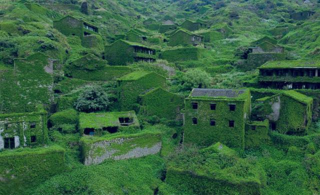 后头湾村:被遗弃的土地变成的世外桃源 浙江舟山市嵊泗县嵊山镇的无