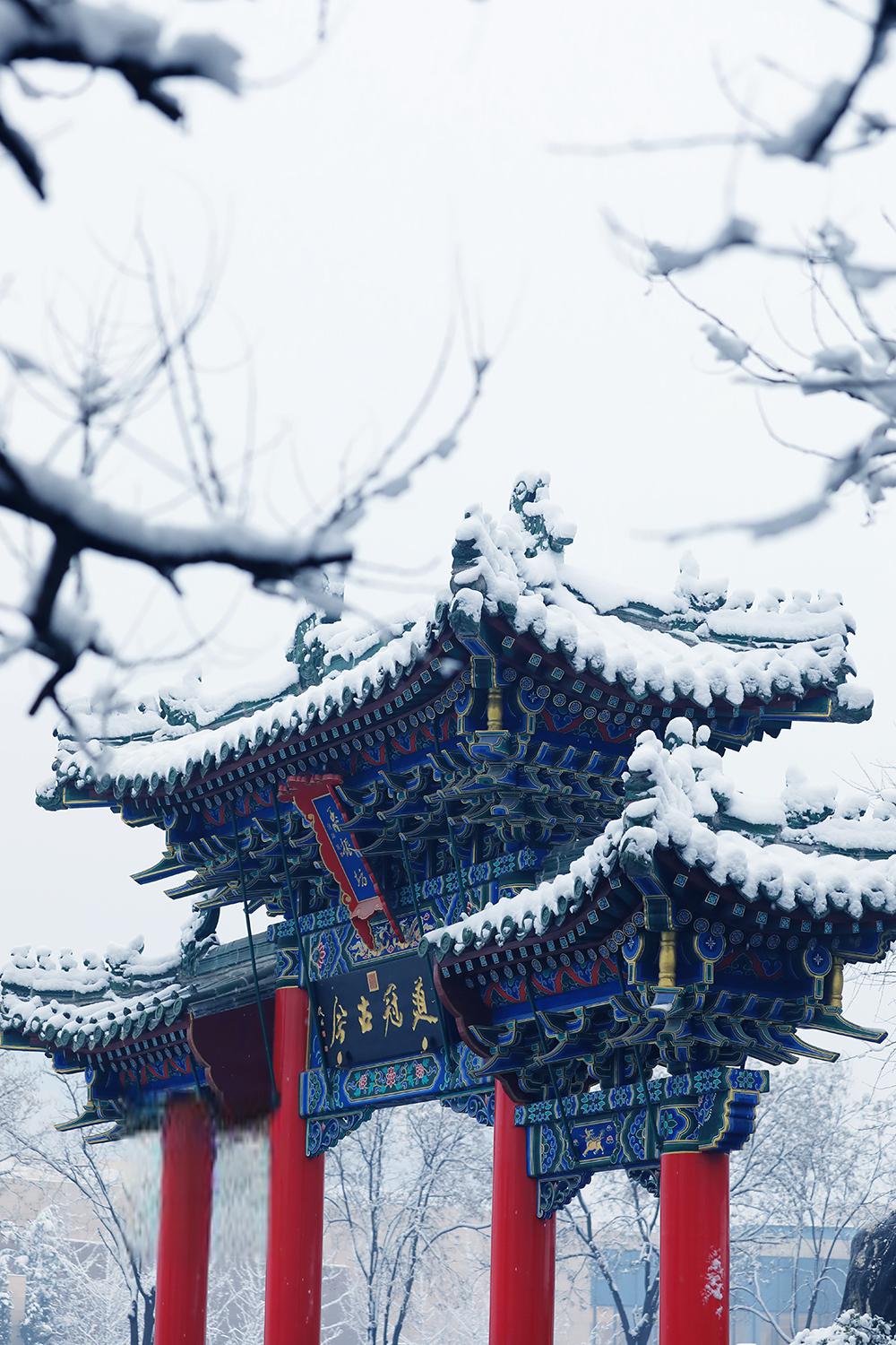 冬日的郑州:历史与现代的交融之地 冬日的郑州,宛如一幅美丽的画卷