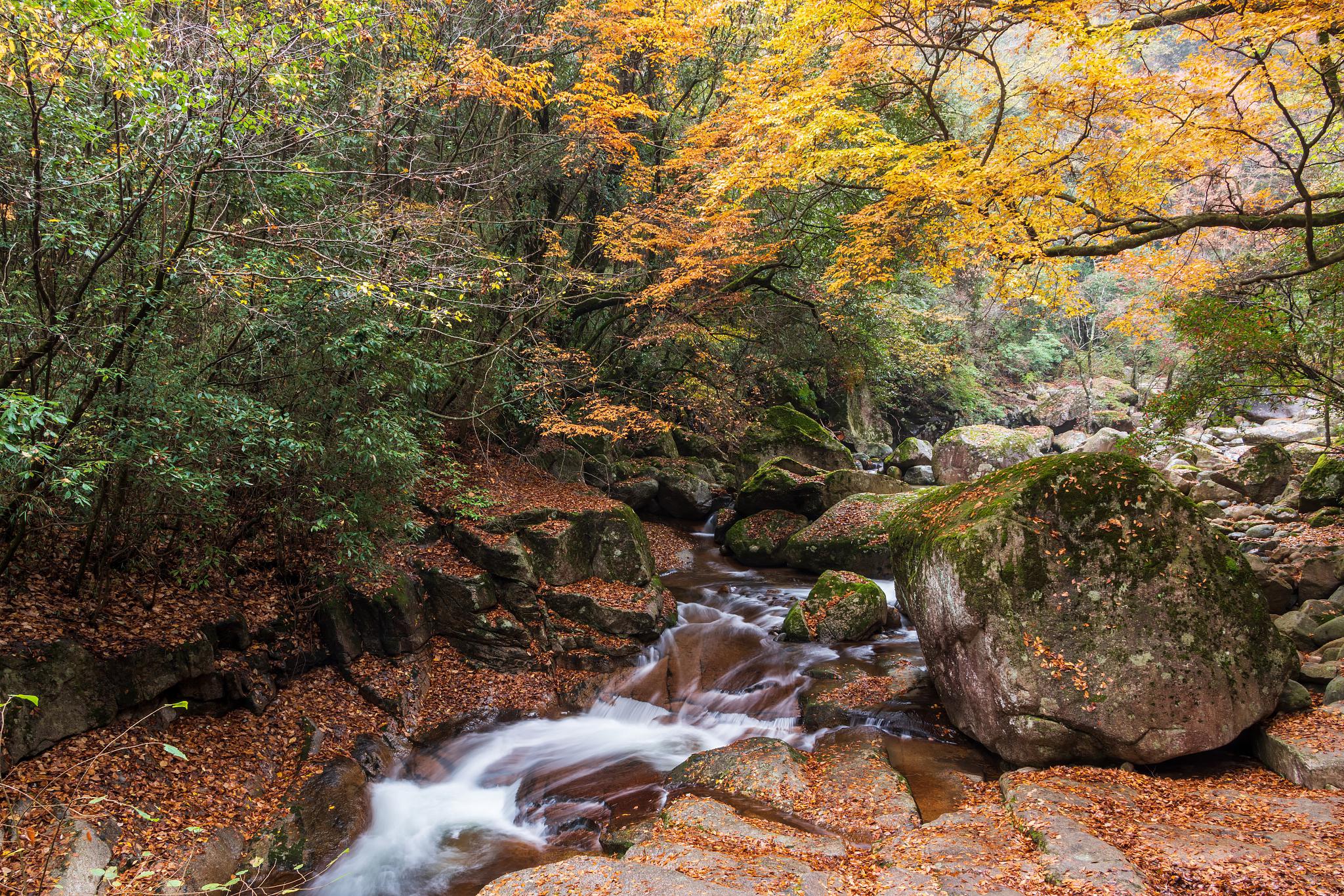 陕西宝鸡黄柏塬:夏日避暑的最佳选择 陕西宝鸡黄柏塬,这个避暑胜地让