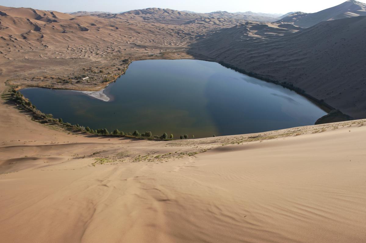 沙漠探险之旅:挑战极限,探寻生命奇迹 穿越大漠,探寻无尽神秘,感受