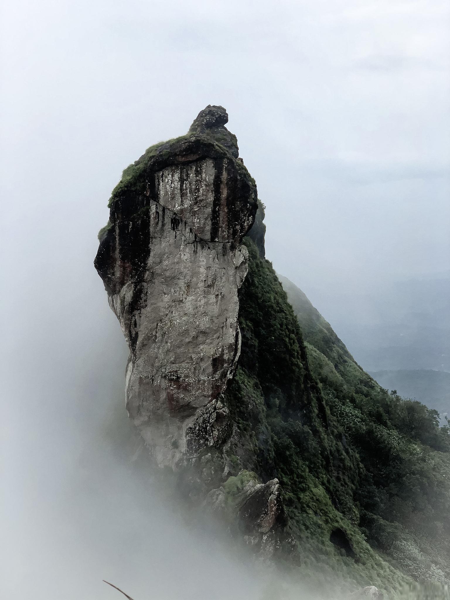 梵净山四大奇观图片