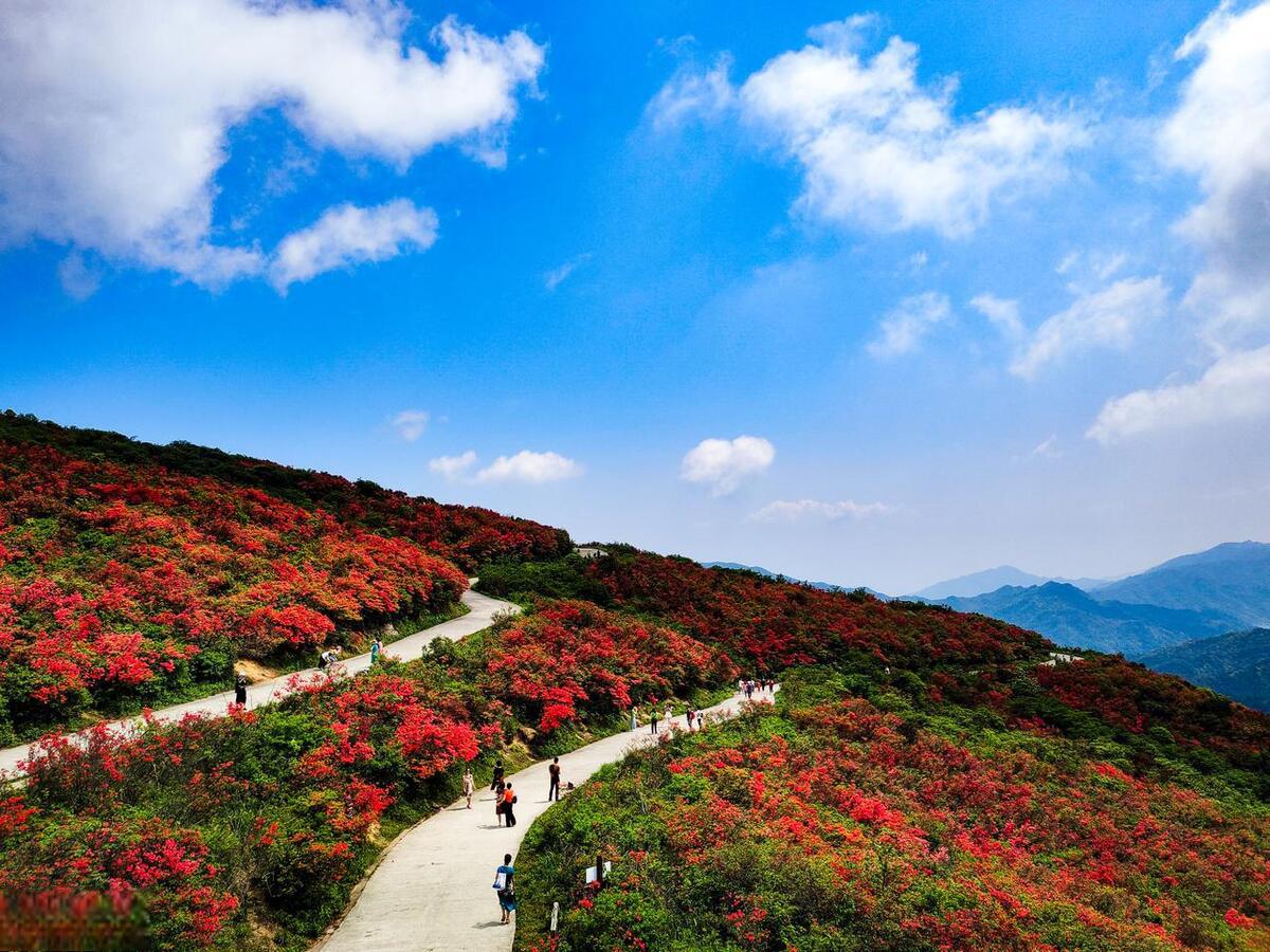 湖南娄底:一个藏着无尽魅力的地方 湖南娄底,一个集自然美景,历史文化