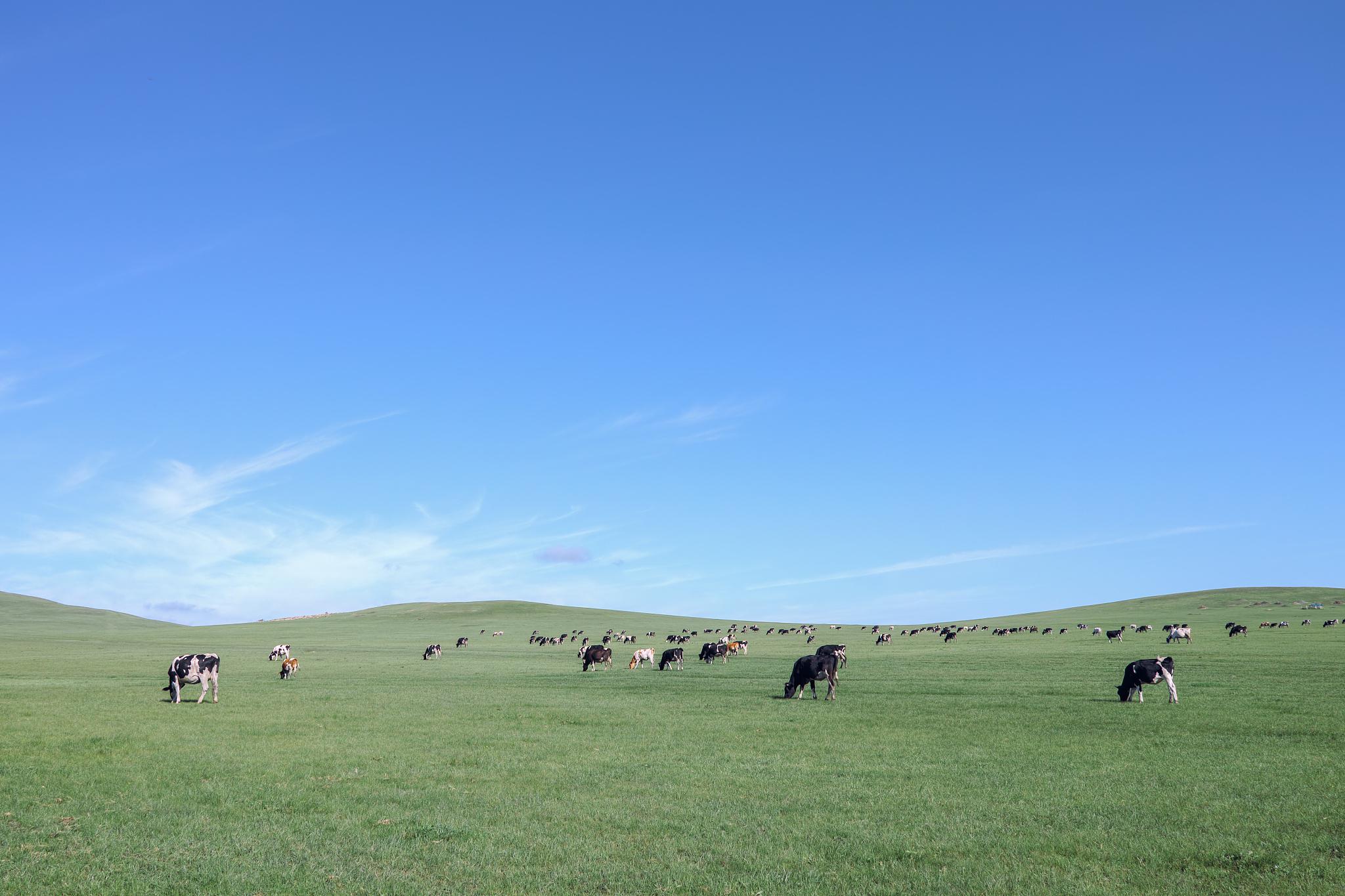 通辽草原正是你所追寻的地方!