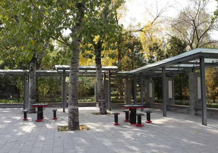 青年湖公园:都市中的一片绿洲 北京市东城区的青年湖公园,是都市中的