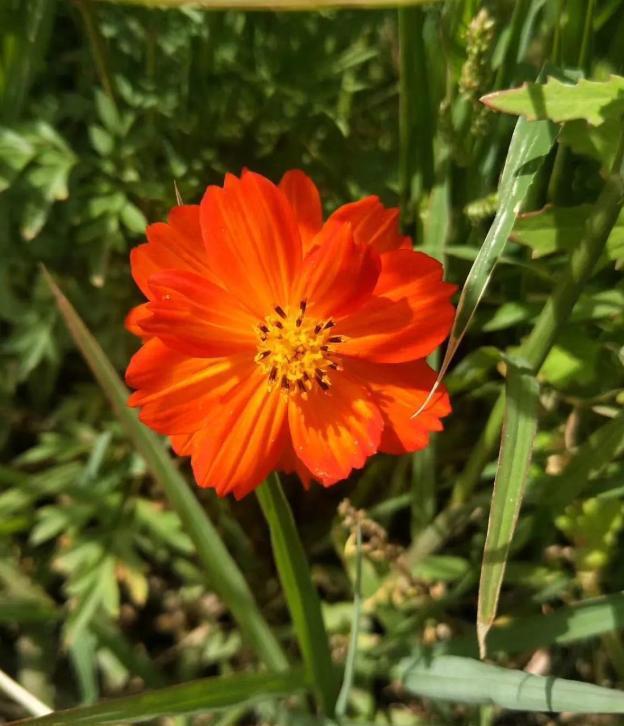 西安滈河郊野公园:大自然与都市的完美融合 在繁华的西安城中,隐藏着