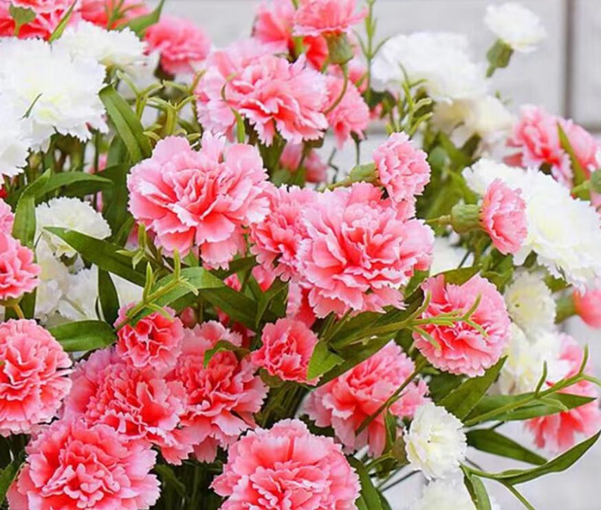 康乃馨:充满母爱与纯洁敬意的花卉 康乃馨是一种充满浪漫与温情的鲜花