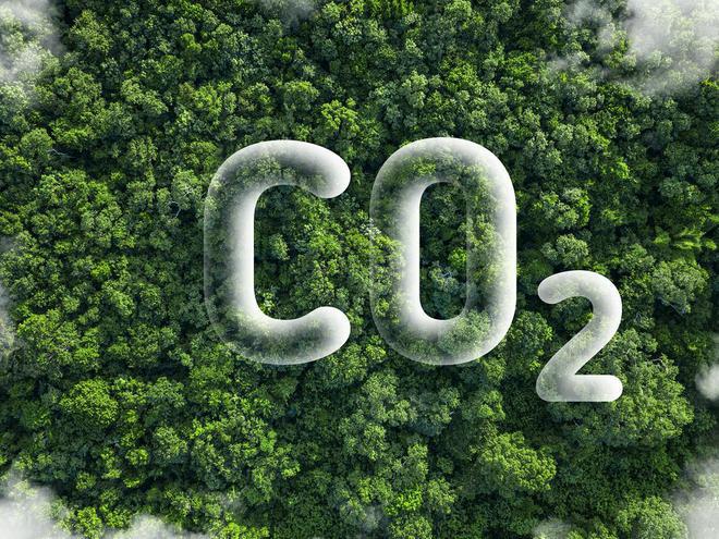 林业碳汇:应对气候变化的绿色金融之道 林业碳汇通过植树造林,保护