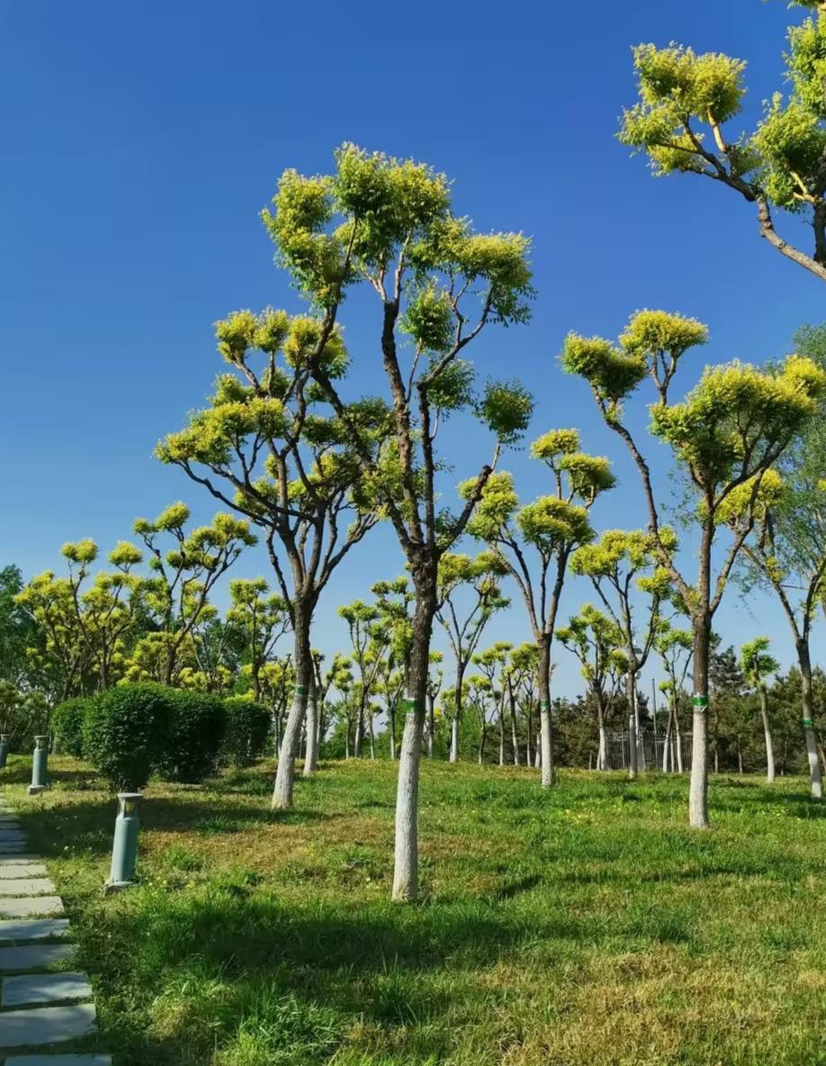 北京房山长阳公园图片