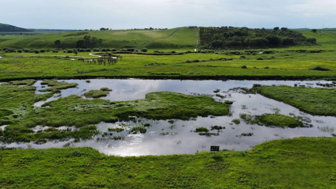 探秘河北围场县的御道口草原森林风景区 距离多伦湖仅35公里,御道口