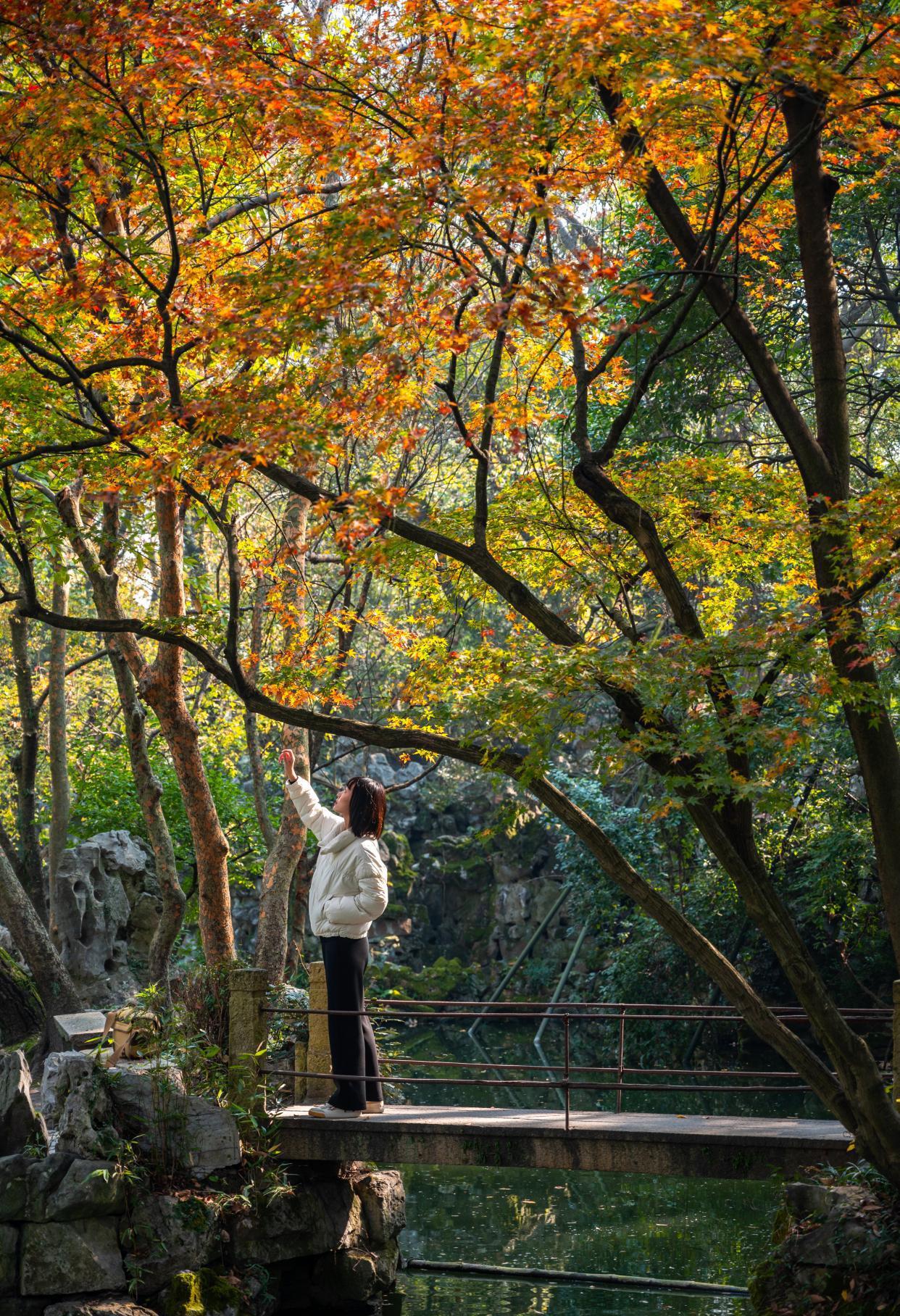 绮园:海盐县的瑰宝 海盐县,浙江嘉兴的璀璨明珠,历史悠久,文化深厚.