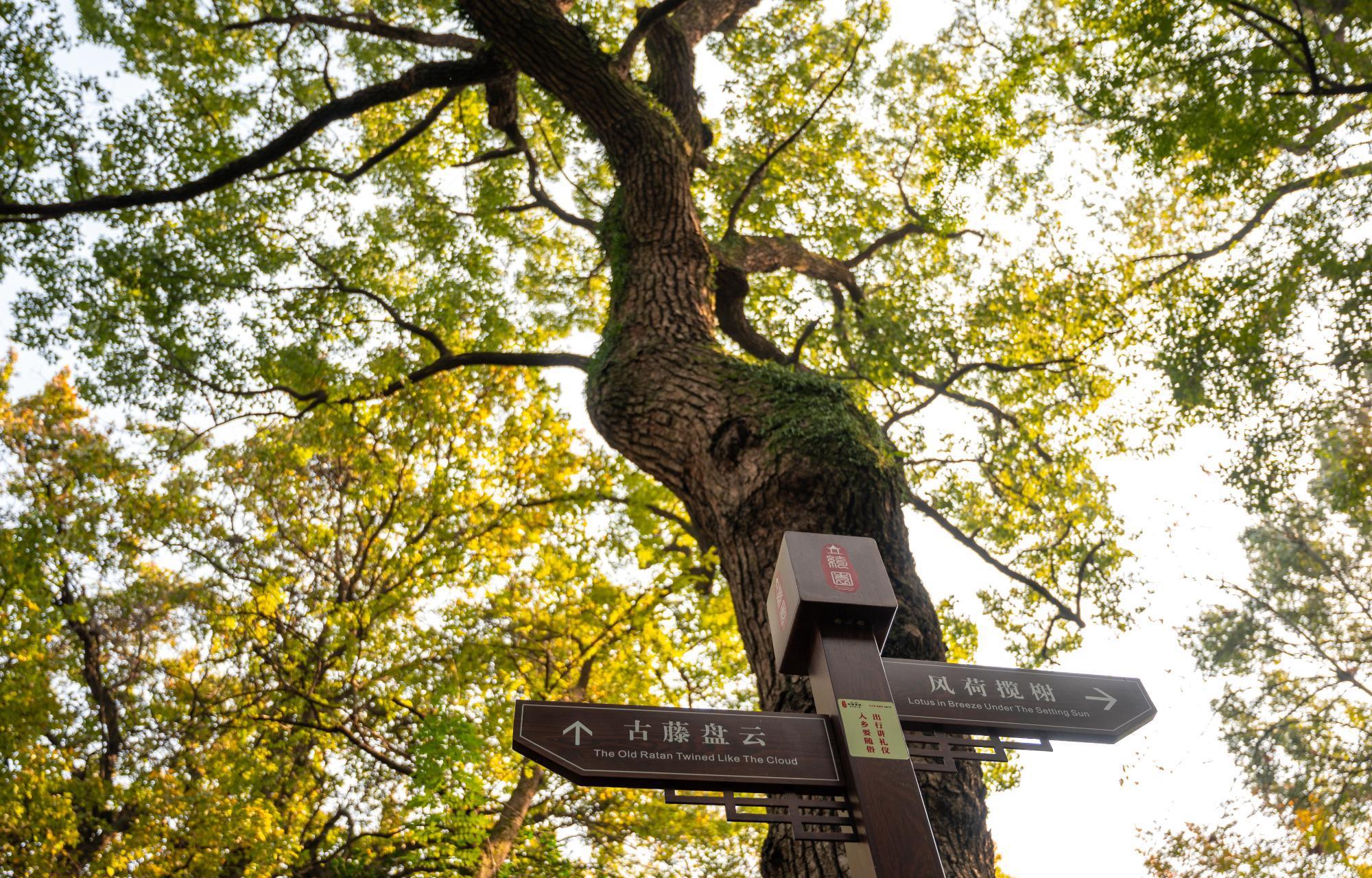 绮园:海盐县的瑰宝 海盐县,浙江嘉兴的璀璨明珠,历史悠久,文化深厚.