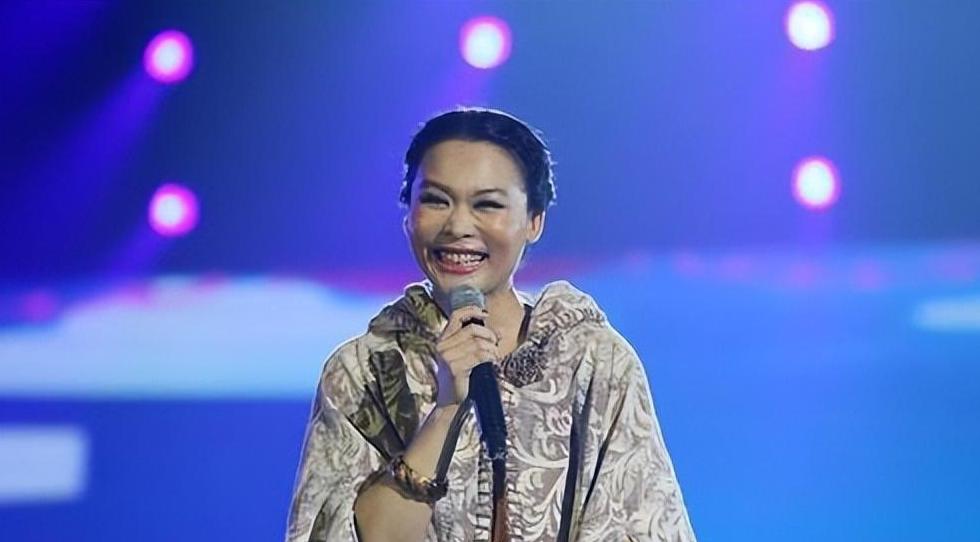 许美静:渣男折磨成疯子 许美静的人生经历充满波折,她的音乐事业上的