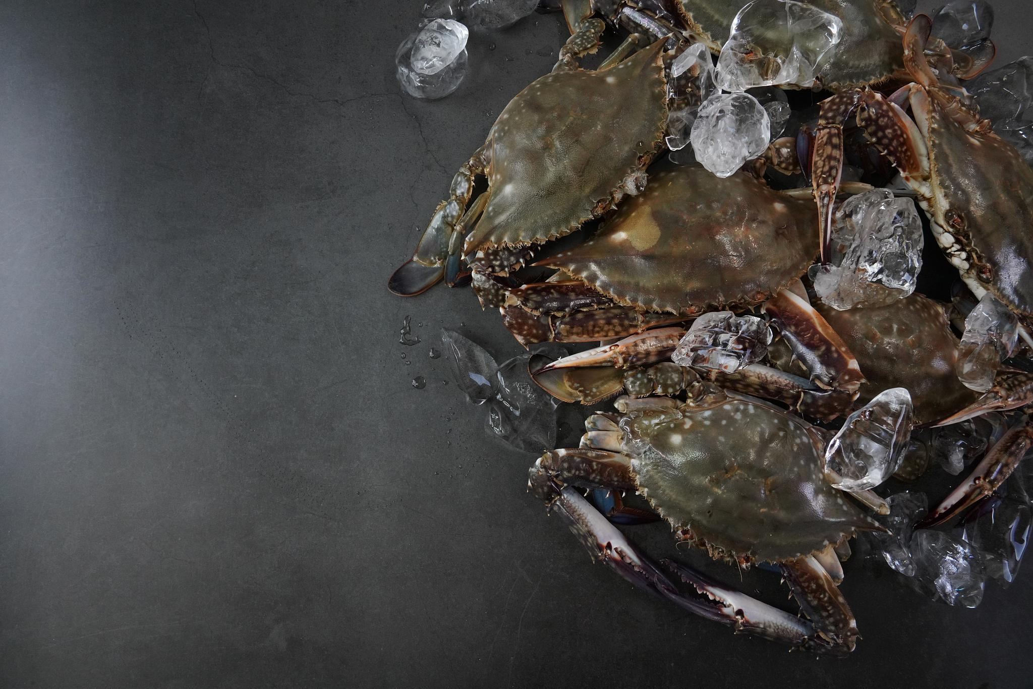 进口斯里兰卡青蟹报关清关:步步为营,确保顺畅 进口斯里兰卡青蟹报关