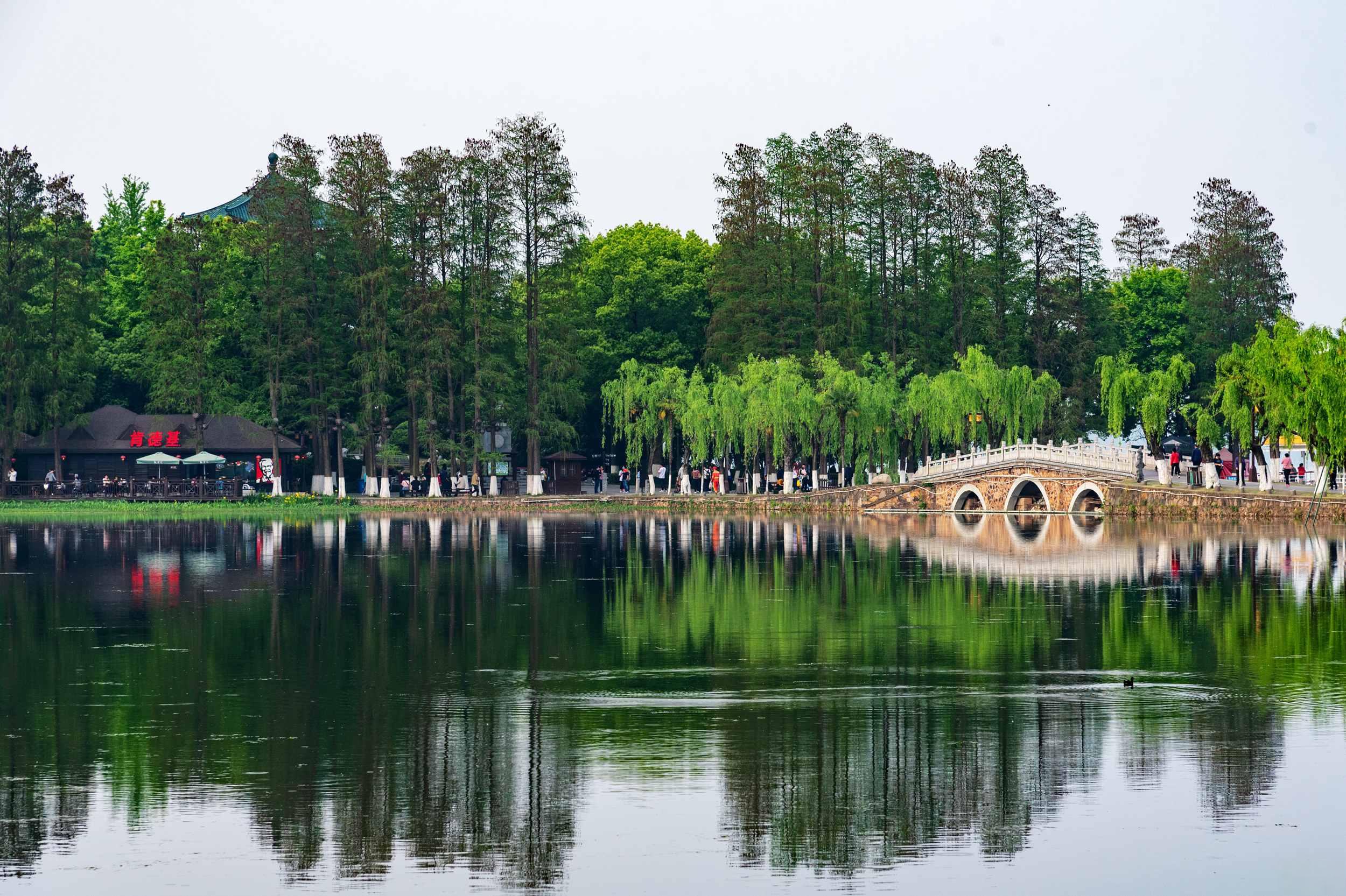 东湖风景区:武汉周末好去处 东湖风景区位于武汉市中心,是一个国家