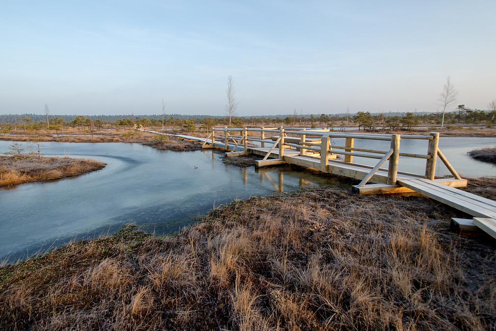 曹妃甸湿地公园与多玛乐园自驾游攻略 亲爱的旅行者,你是否渴望拥抱大