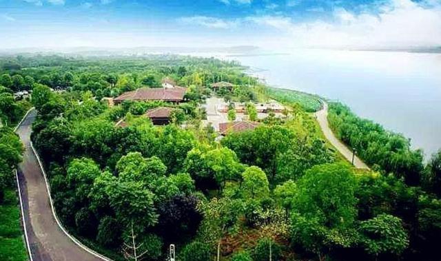 武汉后官湖湿地公园:城市的"绿肺" 在繁华的武汉市,有一块无与伦比的