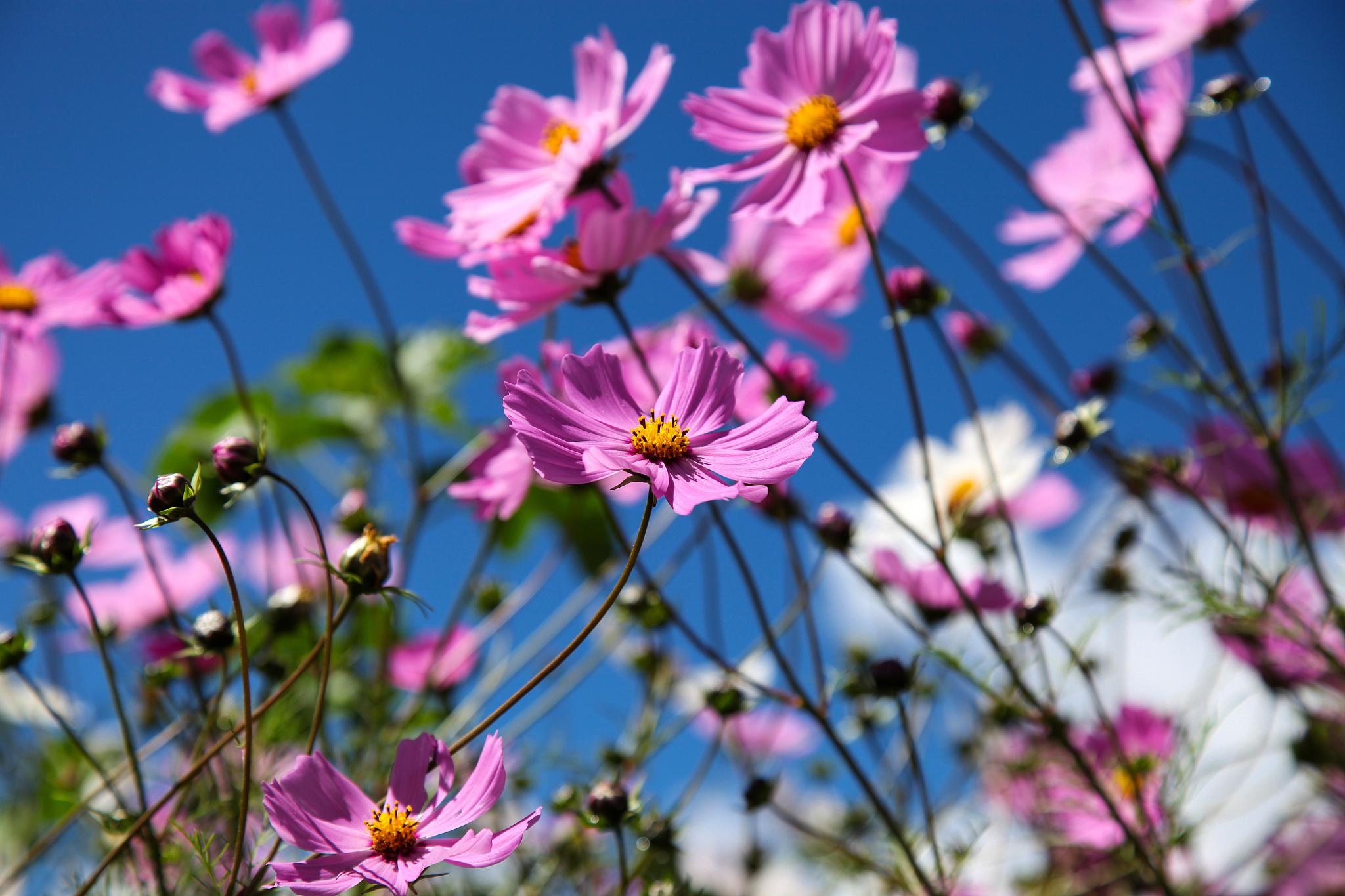 抓住暗恋的尾巴:当你们拥有这3个特征时,不要犹豫 眼神交流,默契和
