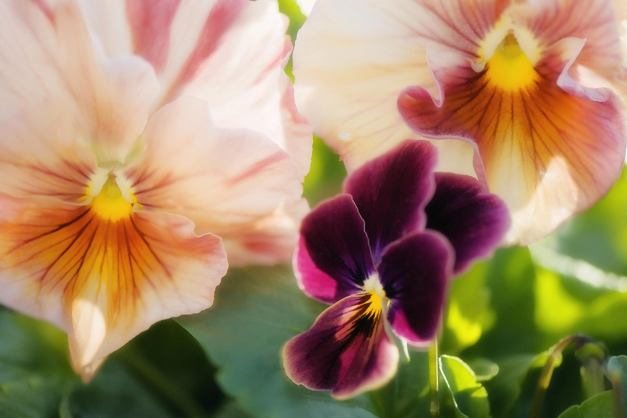 抓住暗恋的尾巴:当你们拥有这3个特征时,不要犹豫 眼神交流,默契和