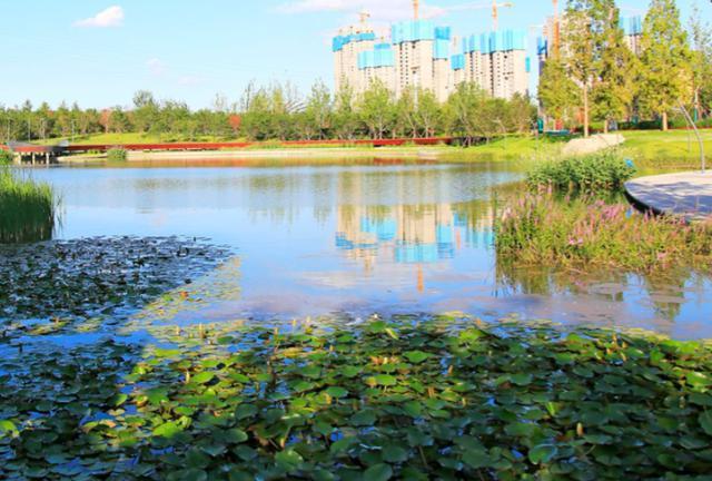 来北京延庆区的三里河公园,让你感受江南的清新与宁静!