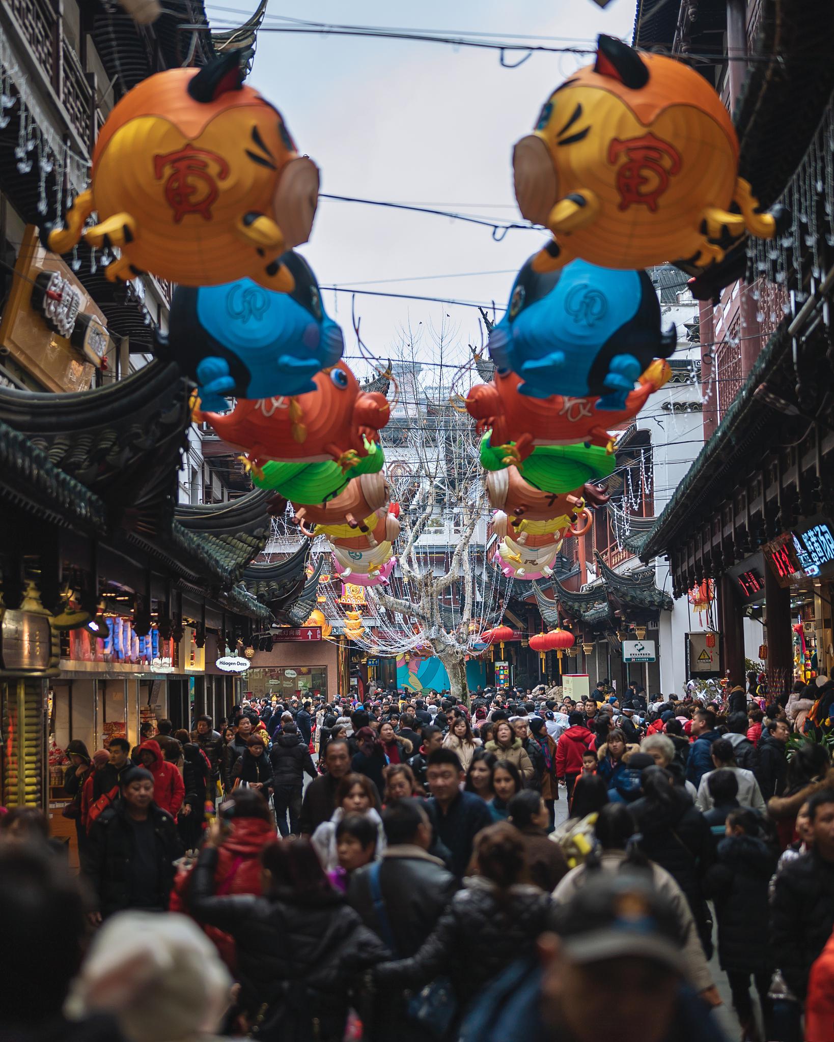 春节旅游景点推荐国内图片