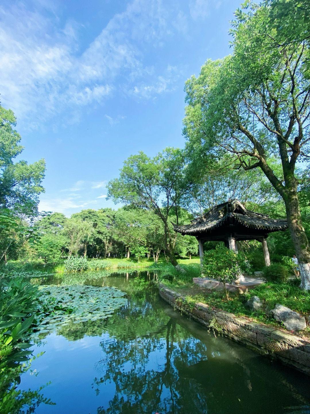 杭州西溪湿地:一颗璀璨明珠 杭州是中国的精致之都,因水而活,因水而柔