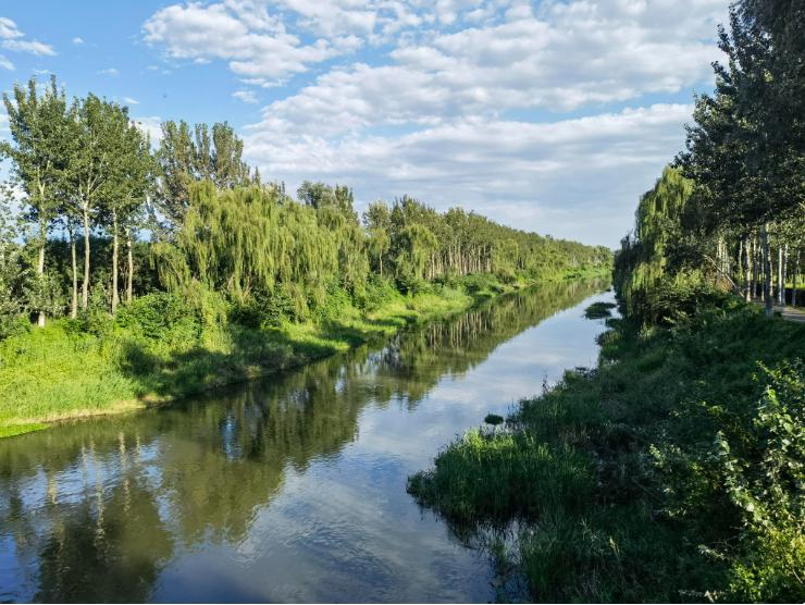北京东郊湿地公园:城市中的绿洲 北京东郊湿地公园,这座隐藏在繁华
