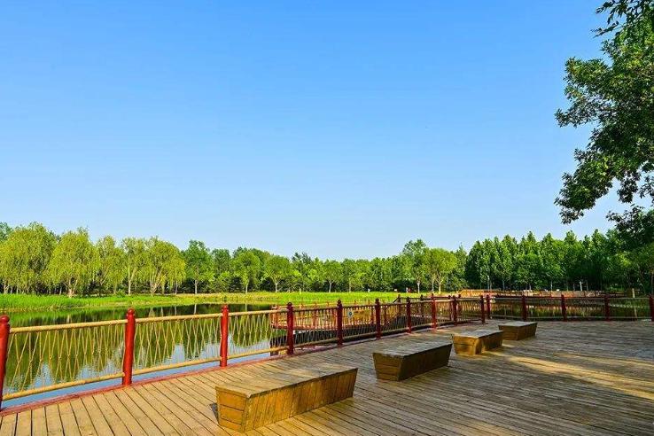 北京东郊湿地公园:城市中的绿洲 北京东郊湿地公园,这座隐藏在繁华