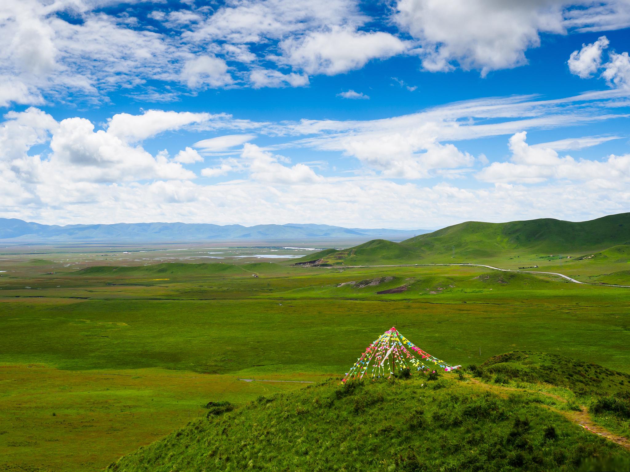 准备启程探索阿西里西大草原的奥秘了吗?