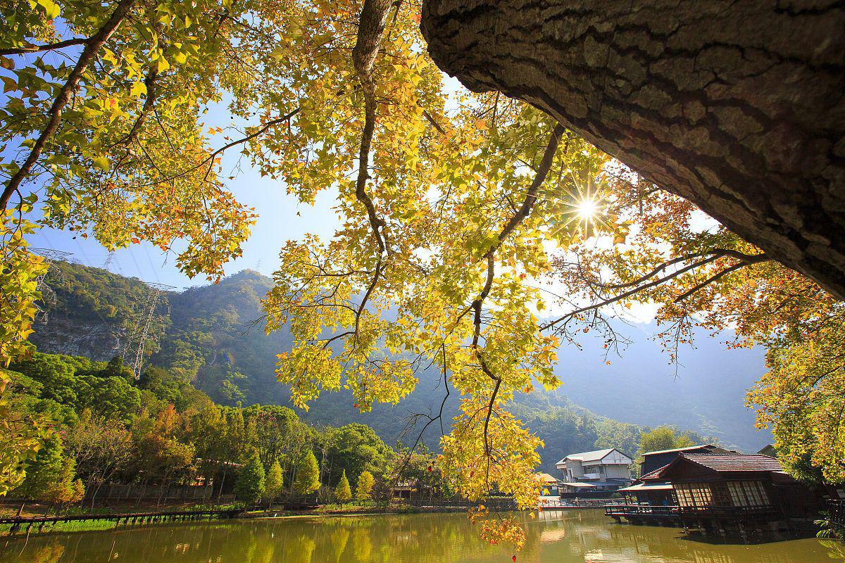 南雄三大景点:帽子峰森林公园,珠玑古巷与梅关古道 南雄,广东北部的