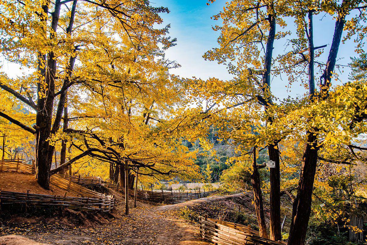 南雄三大景点:帽子峰森林公园,珠玑古巷与梅关古道 南雄,广东北部的