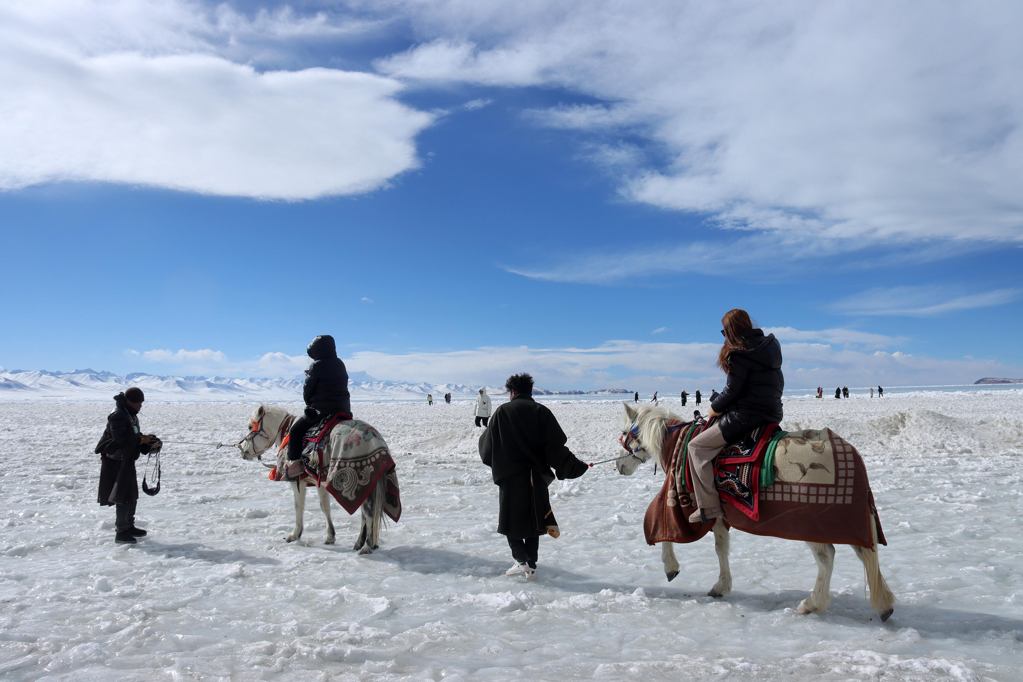 冬日纳木措:生命的顽强与坚韧 冬天的纳木措,阳光洒在冰冷的湖面上