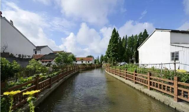 石湖荡镇:上海隐藏的风景胜地 石湖荡镇,这个位于上海松江区的小镇,历