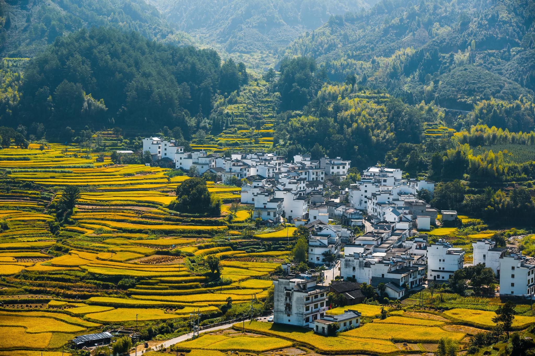 上饶:自然之美,风味之韵 上饶,江西的瑰宝之地,汇聚了自然的馈赠与