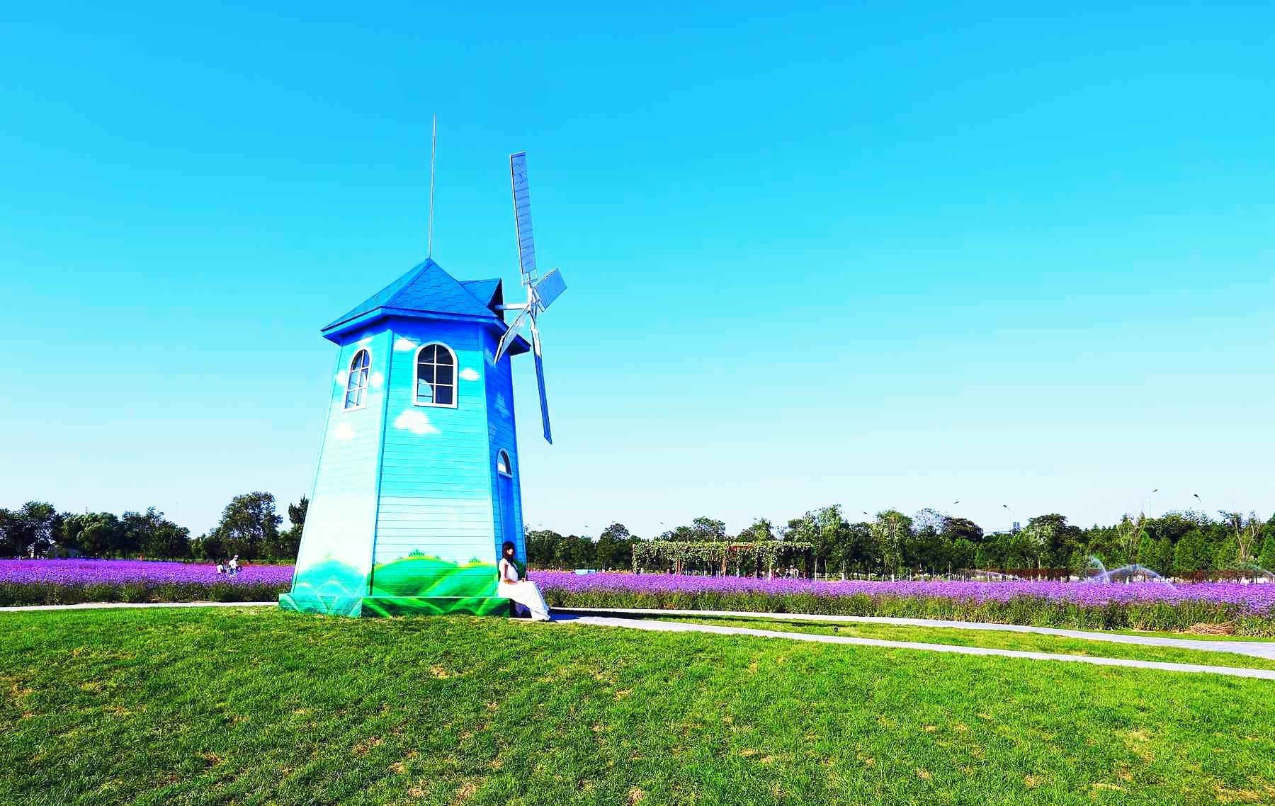 连云港伊甸园风景区:探索天堂缩影 连云港伊甸园风景区,一个宛如天堂